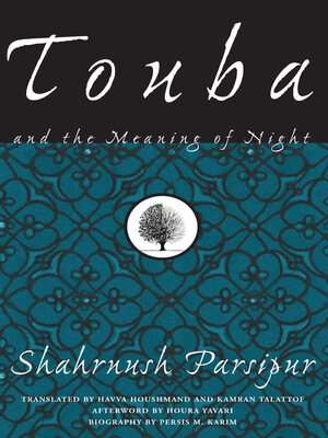 cover image of Touba and the Meaning of Night